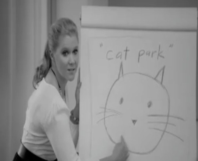 Video Licks: Inside Amy Schumer’s “Cat Park”