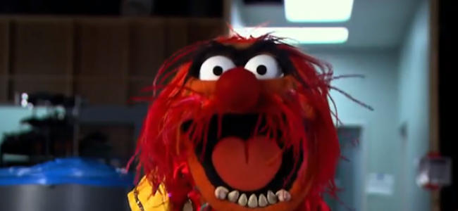 Video Licks: Whacka-Whacka-Whacka! Watch The ‘Muppets Most Wanted’ Trailer!