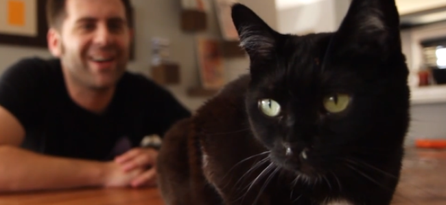 Video Licks: Watch ‘Before vs. After Getting a Cat’ ft. Jake Weisman