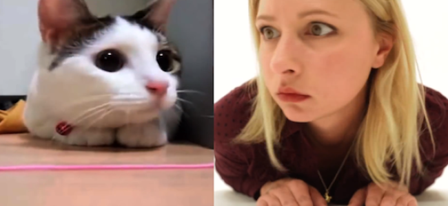Video Licks: It’s Those Famous Cat Vids but with PEOPLE