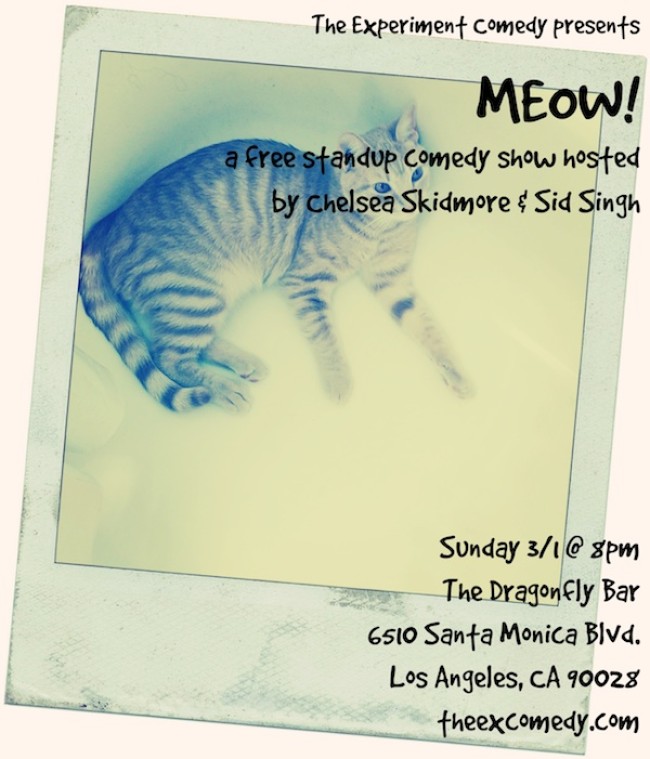 Quick Dish: The Experiment Comedy Presents Meow! at The Dragonfly Bar 3.1