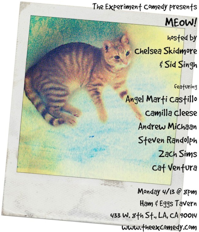 Quick Dish: Experiment Comedy Presents MEOW! 4.13 in DTLA