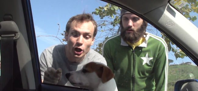 Video Licks: This SETHWARD Sketch Has Gone to the Dogs