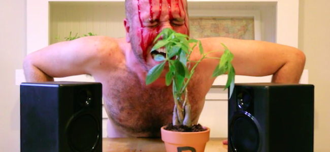 Video Licks: PLANT TALK with Comedian & Plant Whisperer RON BABCOCK