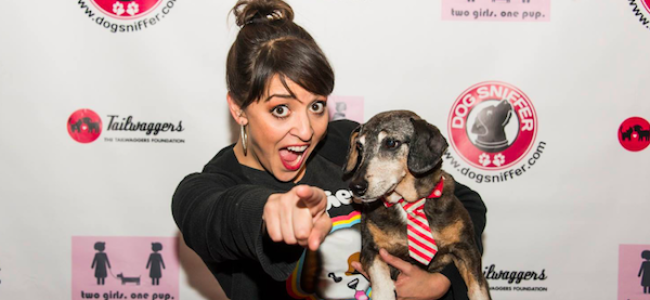 Quick Dish LA: 2 GIRLS 1 PUP Comedy with Colby Psychic Rebel 5.7 at Tailwaggers Hollywood