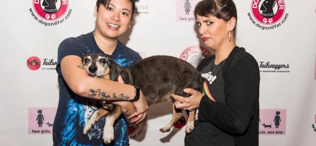 Quick Dish LA: 2 GIRLS 1 PUP Show 6.4 at Tailwaggers Hollywood ft. KYLE KINANE