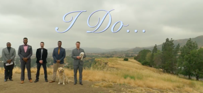 Video Licks: When Saying ‘I DO’ Is Harder Than It Seems